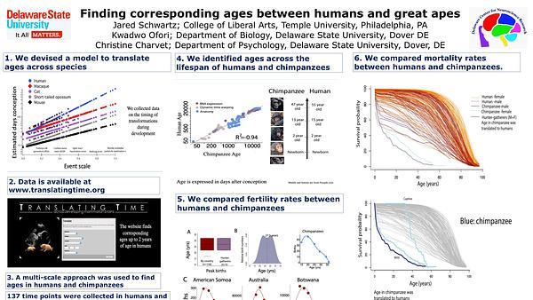 Finding corresponding ages between humans and great apes