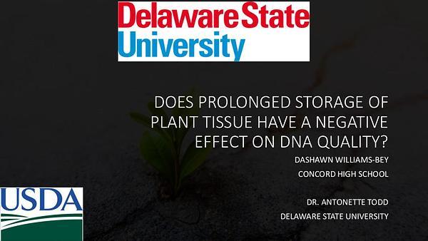 Does Prolonged Storage of Plant Tissue have a Negative Effect on DNA Quality?