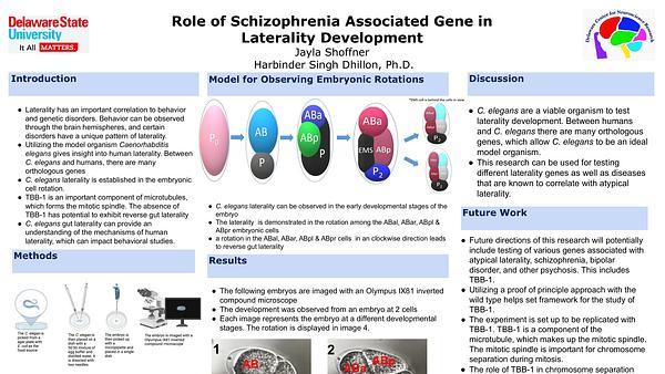 Role of Schizophernia Associated Gene in Laterality Development