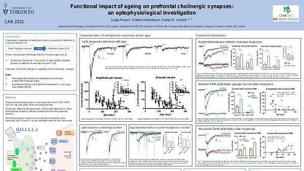 Functional impact of aging on mouse prefrontal cholinergic synapses: an optophysiological investigation