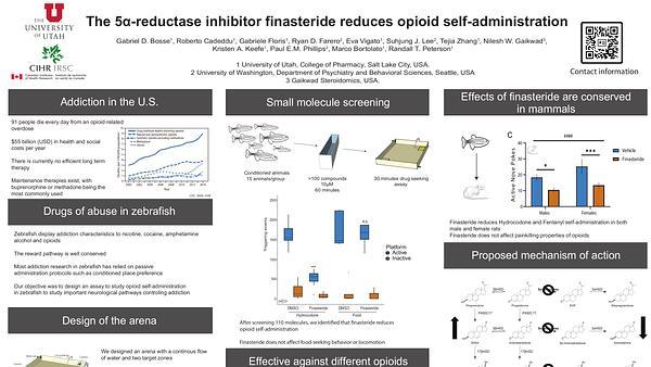 The 5alpha-reductase inhibitor finasteride reduces opioid self-administration in animal models of opioid use disorder