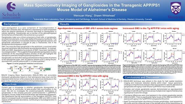 Mass spectrometry imaging of gangliosides in Alzheimer's Disease
