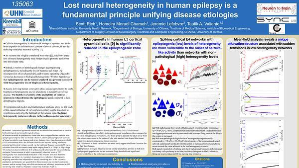 Lost neural heterogeneity in human epilepsy is a fundamental principle unifying epileptic etiologies