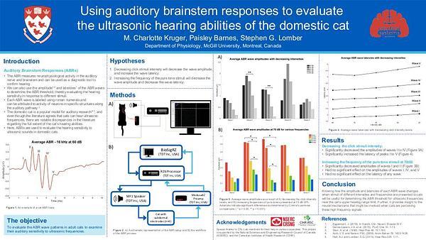 Using auditory brainstem responses to evaluate the ultrasonic hearing abilities of the domestic cat