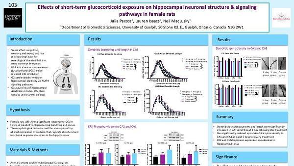 Effects of short-term glucocorticoid exposure on hippocampal neuronal structure and signaling pathways in female rats
