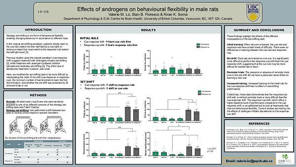 Effects of androgens on behavioural flexibility in male rats