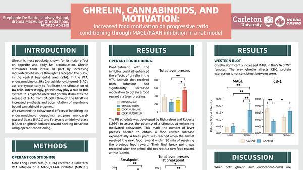 Ghrelin, cannabinoids, and motivation: increased food motivation on progressive ratio conditioning through MAGL/FAAH inhibition in a rat model