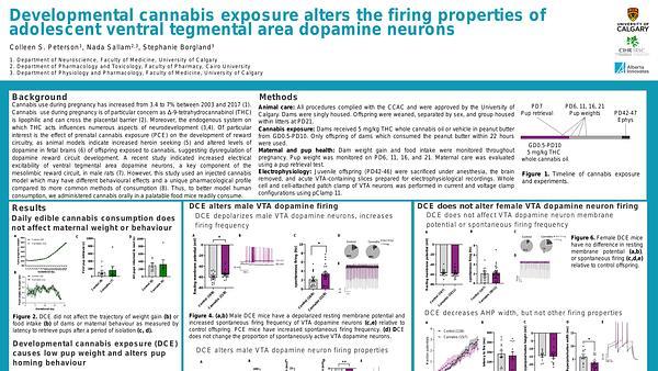 Prenatal cannabis exposure alters the firing properties of adolescent ventral tegmental area dopamine neurons