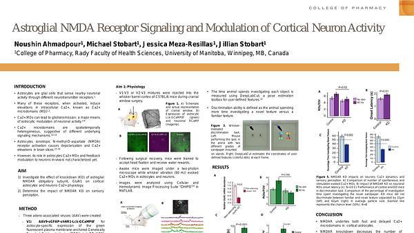 Astroglial ionotropic NMDA receptor calcium signalling and modulation of cortical neuron activity
