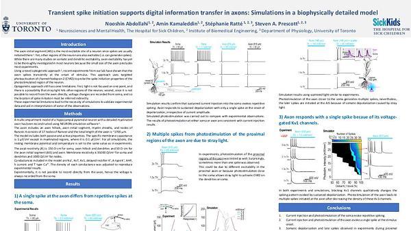 Transient spike initiation supports digital information transfer in axons: simulations in a biophysically detailed model