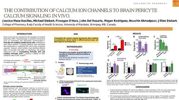 The contribution of calcium ion channels to brain pericyte calcium signaling in vivo