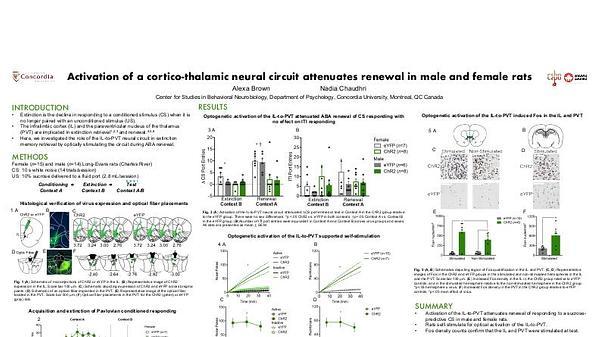 Activation of a cortico-thalamic neural circuit attenuates renewal in male and female rats