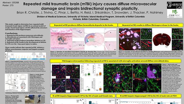 Repeated traumatic brain injury causes diffuse microvascular damage and impairs bidirectional synaptic plasticity
