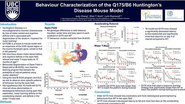 Behaviour characterization of the Q175/B6 Huntington's disease mouse model