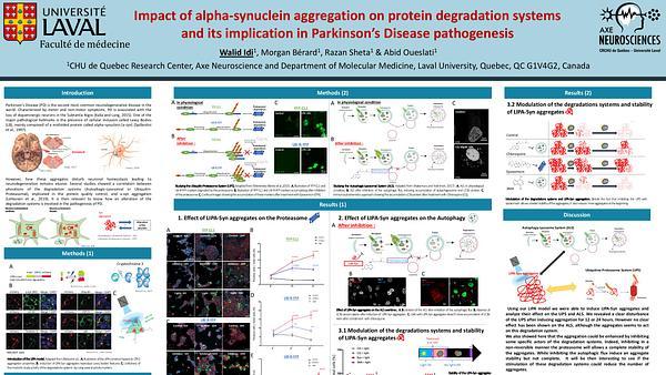 Impact of alpha-synuclein aggregation on protein degradation systems and its implication in Parkinson's Disease pathogenesis