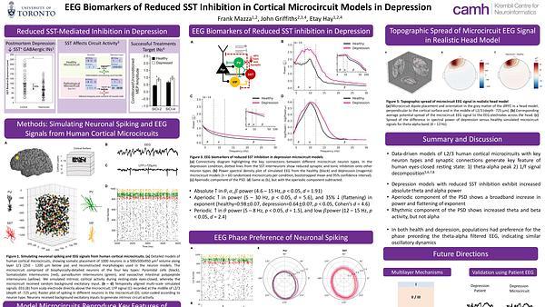 Biomarkers of reduced inhibition in human cortical microcircuit signals in depression