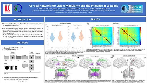 Functional network topography reveals dorsal-ventral cortical modules for visual feature memory, and lateralized modules that combine for transsaccadic integration