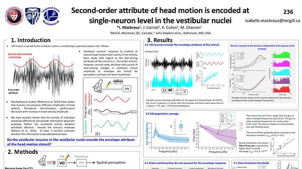 Second-order attribute of head motion is encoded at single-neuron level in the vestibular nuclei