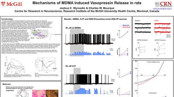 Mechanisms of MDMA induced vasopressin release in rats
