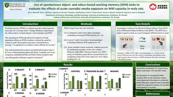 Use of spontaneous object- and odour-based working memory (WM) tasks to evaluate the effects of acute cannabis smoke exposure on WM capacity in male rats