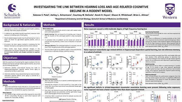Investigating the link between hearing loss and age-related cognitive decline in a rodent model