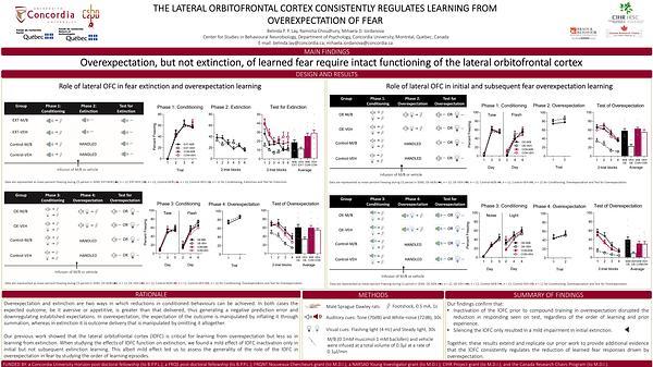 The lateral orbitofrontal cortex consistently regulates learning from overexpectation of fear