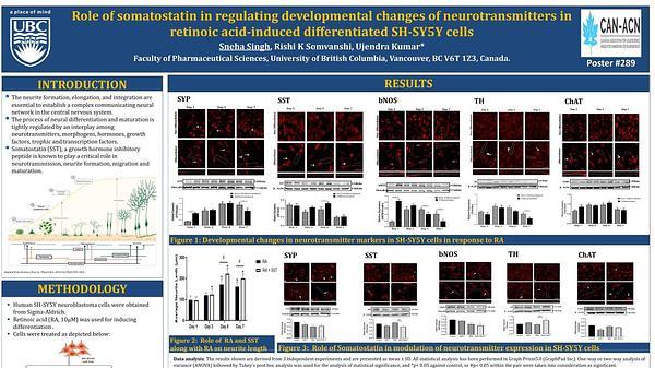 Role of somatostatin in regulating developmental changes of neurotransmitters in retinoic acid-induced differentiated SH-SY5Y cells