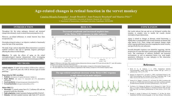 Age-related changes in retinal function in the vervet monkey