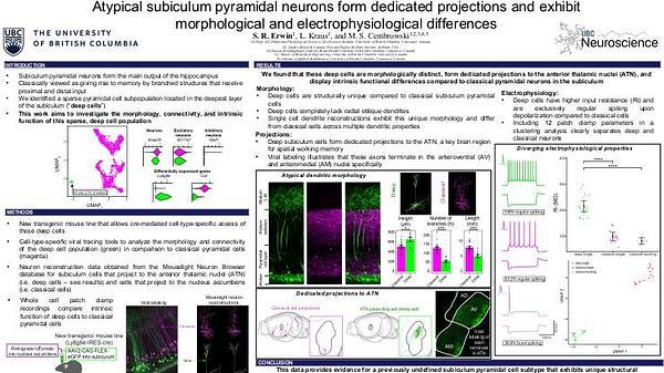Atypical subiculum pyramidal neurons form dedicated projections and exhibit morphological and electrophysiological differences
