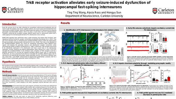 Trkb receptor activation alleviates early seizure-induced dysfunction of hippocampal fast-spiking interneurons