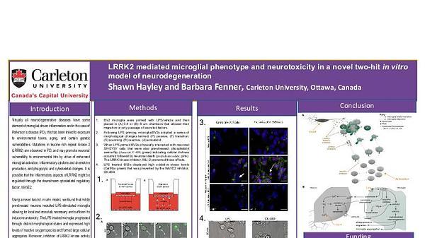 LRRK2 mediated microglial phenotype and neurotoxicity in a novel two-hit in vitro model of neurodegeneration