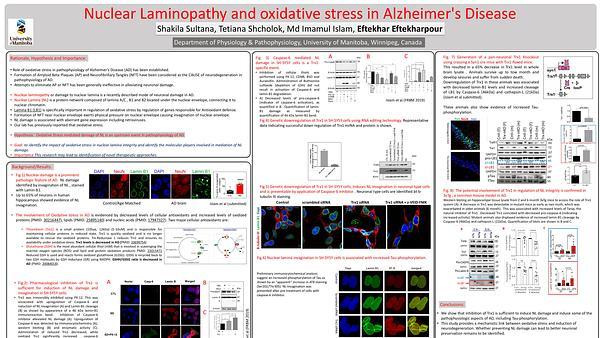 Nuclear Laminopathy and oxidative stress in Alzheimer's Disease