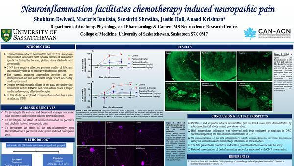 Neuroinflammation facilitates chemotherapy induced neuropathic pain
