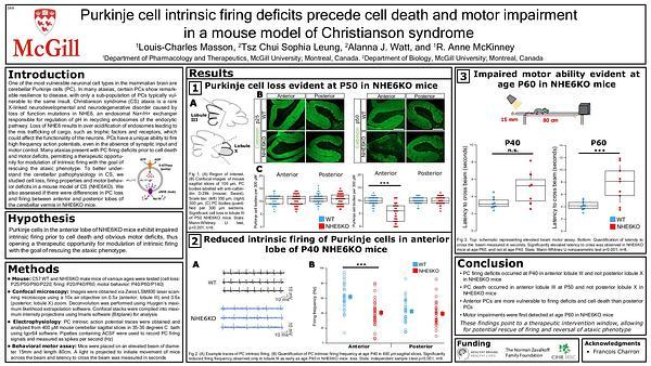 Purkinje cell intrinsic firing deficits precede cell death and motor impairment in a mouse model of Christianson syndrome