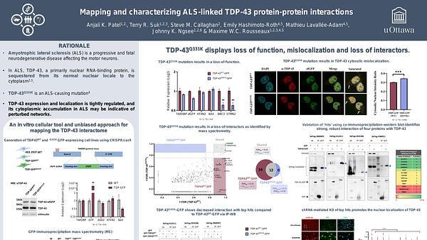 Mapping and characterizing ALS-linked TDP-43 protein-protein interactions