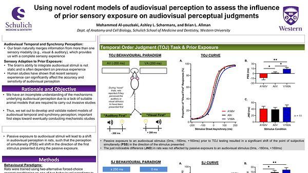 Using novel rodent models of audiovisual perception to assess the influence of prior sensory exposure on audiovisual perceptual judgments