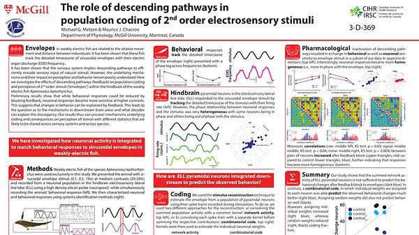 The role of descending pathways in population coding of 2nd order electrosensory stimuli