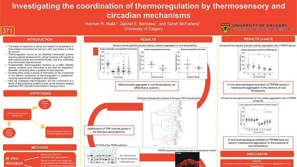 The coordination of thermoregulation by circadian and thermosensory mechanisms