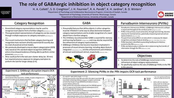 The role of GABAergic inhibition in object category recognition