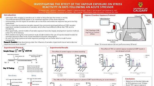 Investigating the effect of THC vapour exposure on stress reactivity in rats following an acute stressor