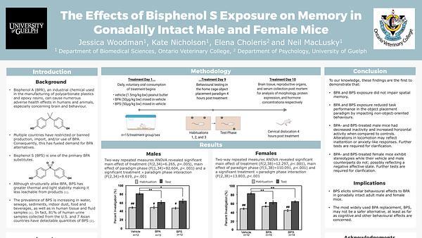 The effects of bisphenol S exposure on memory in gonadally intact male and female mice