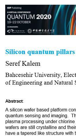 Silicon quantum pillars for quantum sensing and imaging