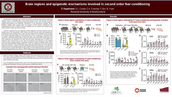 Brain regions and epigenetic mechanisms involved in second order fear conditioning