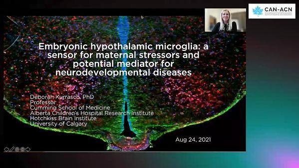 Embryonic hypothalamic microglia: a sensor for maternal stressors and potential mediator of neurodevelopmental diseases