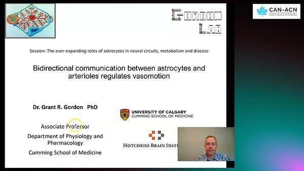 Bidirectional communication between astrocytes and arterioles controls vasomotion
