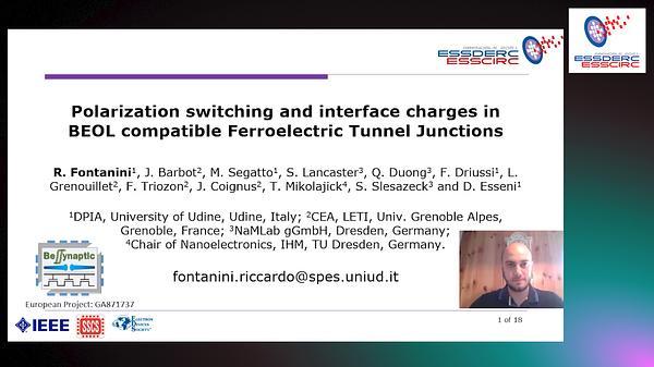 Polarization Switching and Interface Charges in BEOL Compatible Ferroelectric Tunnel Junctions
