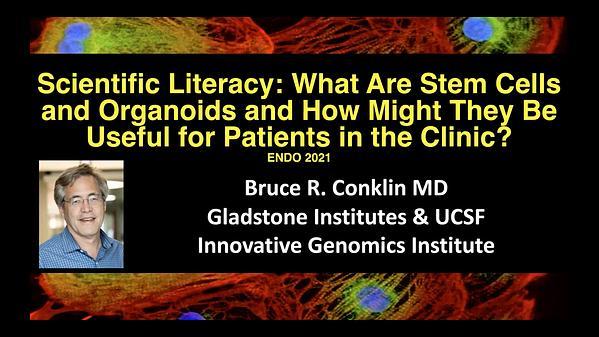 Scientific Literacy: What Are Stem Cells and Organoids and How Might They Be Useful for Patients in the Clinic?