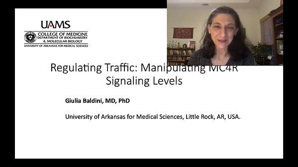 Regulating Traffic: Manipulating MC4R Signaling Levels