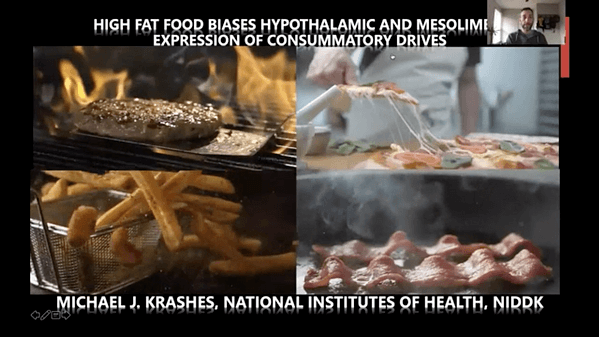 High Fat Food Biases Hypothalamic and Mesolimbic Expression of Consummatory Drives