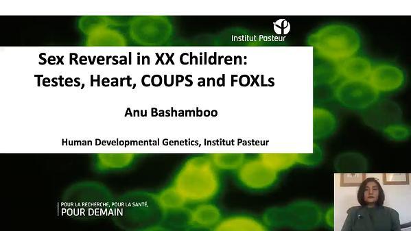 Sex Reversal in XX Children: Testes, Heart, Coups and FOXLs